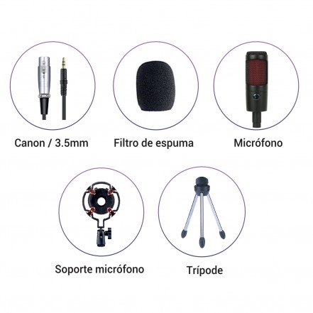 Microfono condensador mlab pro B15