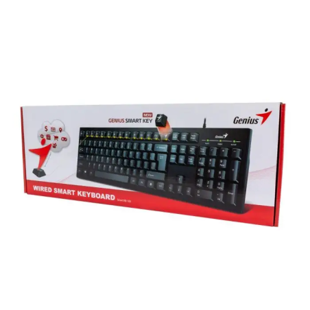 TECLADO GENIUS USB KB-100