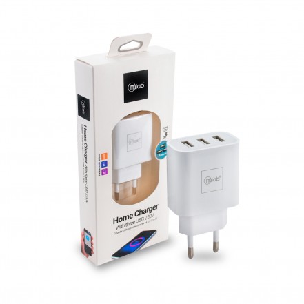 CARGADOR MLAB CELULAR  2.1 7773