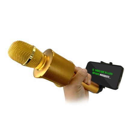 MICROFONO MLAB KARAOKE LIL’ VOICE