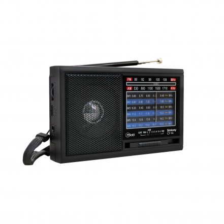 RADIO FM MLAB PORTATIL