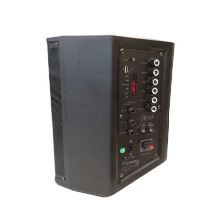 CAJA SONIDO MLAB FLAMING CHROMA 8"