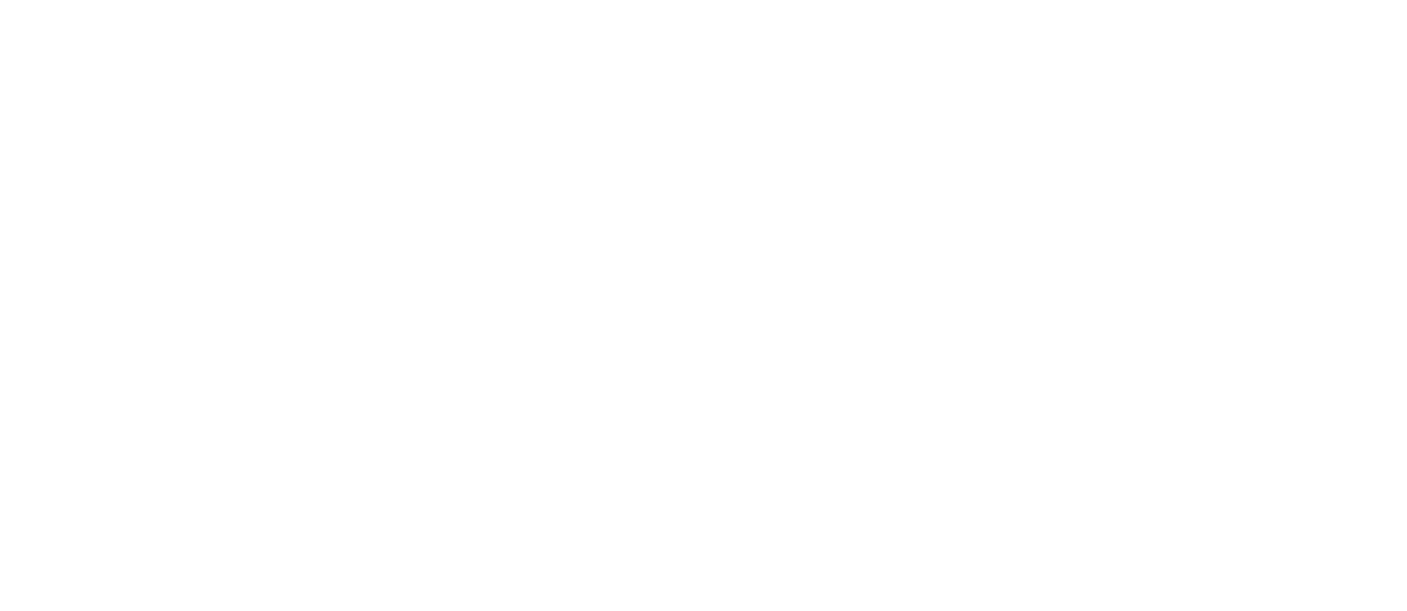 Sleve