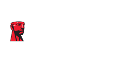 kingstone_20220823232442_20230705153257_20260216201319.png