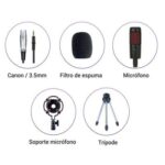 Microfono Condensador Pro B15 - Imagen 2