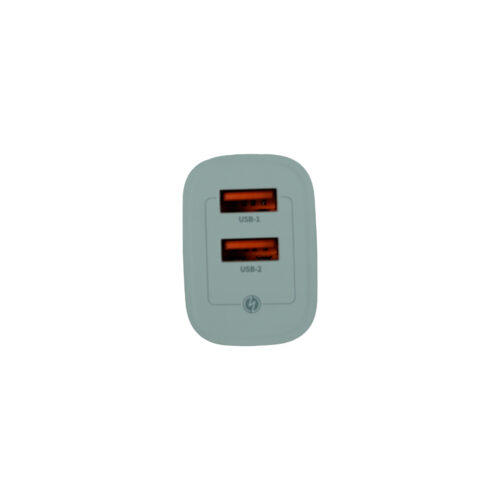 Cargador vidvie 4